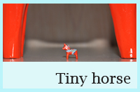 Tiny horse